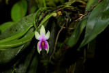 DPP_FSC10311.JPG