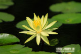 Wetland Park, Hong Kong