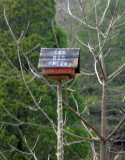 Big Creek Birdhouse