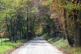 October 2009 - Cohutta WMA and Tumbling Creek Road -