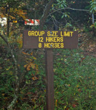 Hikers And Horses