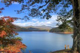 Hiawassee Lake4