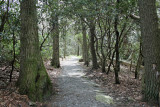 Figure 8 Trail