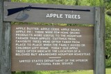 Apple Tree History