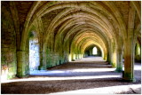 The Cellarium