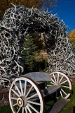 Welcome to Jackson Hole, WY