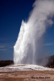 Old Faithful geyser erupts with its incredible power
