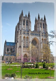 Washington National Cathedral
