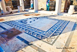 House of Dionysus floor mosaic
