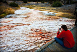 Patterns in Mammoth, Yellowstone, WY