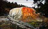 Mammoth Springs, Yellowstone