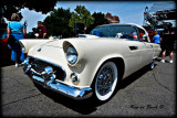 55 Ford Thunderbird