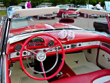 56 TBird convertible
