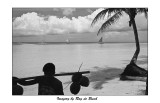 coconut man