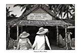 turistas