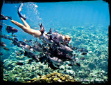 Jamaica and Grand Cayman Islands