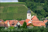 Sloped vineyards along the Rhine