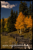 Bole Fence at Beaver Lake, Cimarron Valley