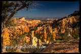 Fairyland Canyon, Bryce NP 