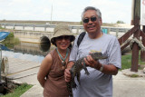 Baby alligator in my hands...help!