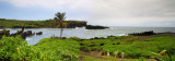 Panorama--Hana