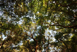 World Heritage - Sefa Utaki, Okinawa, Japan