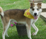 Elwood