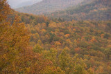 Scenic View Autumn