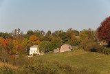 Farm