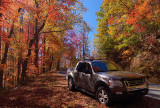 Leaf Peeping