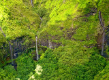 And yet again, more waterfalls