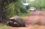 SLOWER TRAFFIC KEEP RIGHT