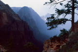 Zion Canyon Storm