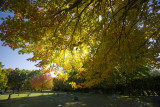 under the yellow