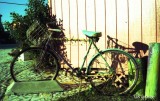 cross process