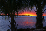 Florida Keys & Everglades 2010