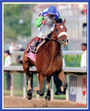 In Loving Memory of Barbaro