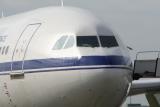 09-a310-nose.jpg