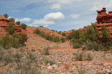 Weathered Red Rocks (7258)