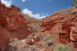 Dry Canyon (7263)