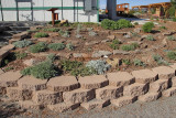 Artemisia Garden -- Area U25 (6865)