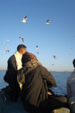 Feeding seagulls.jpg