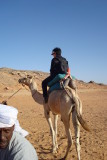 The Camel Raiders.jpg