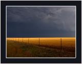 Dark Sky and Amber Waves