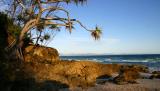 Wategoes Beach Byron Bay