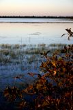 Sunrise at the Wetlands