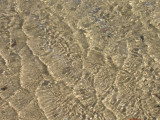 21 March Low tide