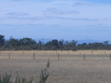 Paddocks