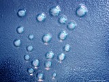 10 Water bubbles