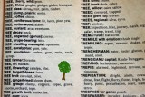 The meaning of tree
